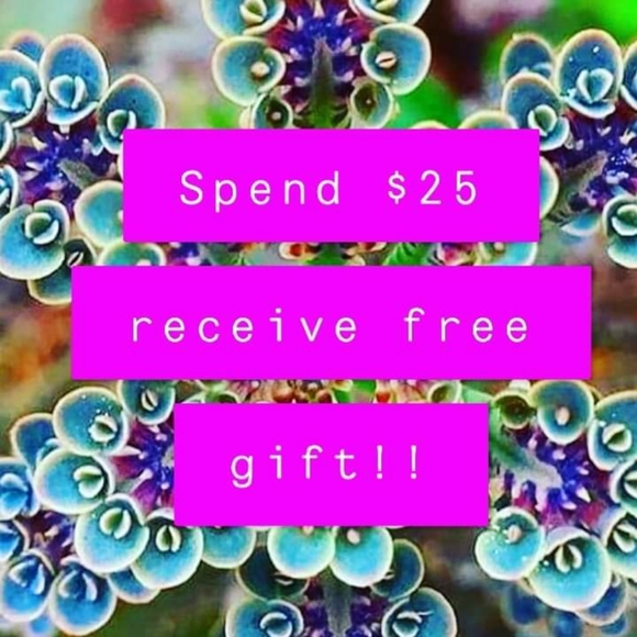 3 for $25 Sale- NWOT Suzie Shier Pants Adult Size 7 - Picture 8 of 8